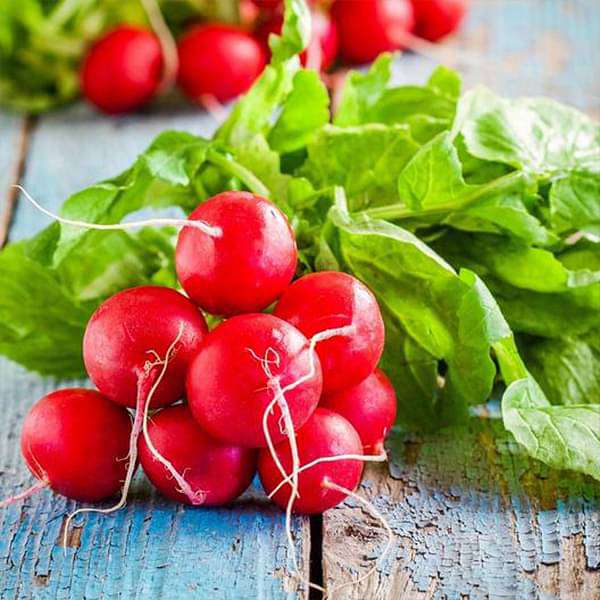 Radish Scarlet Globe Organic Vegetable Seeds